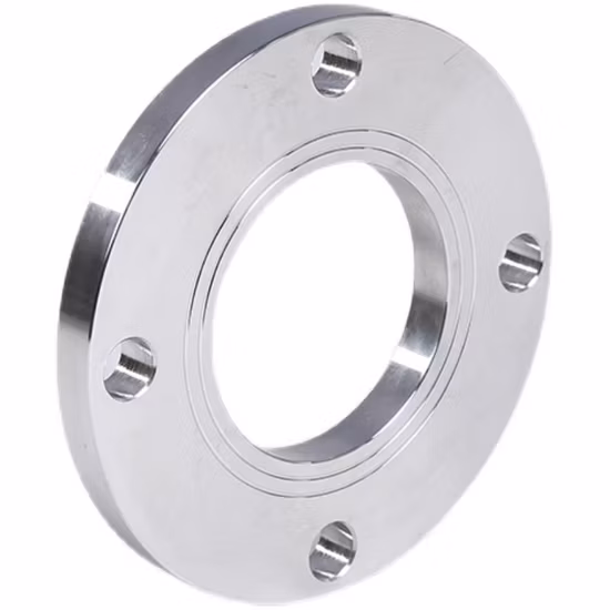 ANSI B16.5 150 lbs/DIN/BS/En Carbono e Flanges forjadas de aço inoxidável